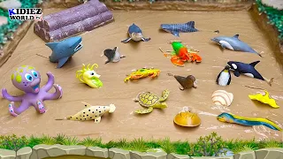 Learning Sea Animals for Kids | 18 Sea Creatures Name and Sound | Kidiez World TV