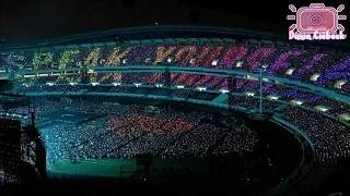 Beautiful ARMY BOMB BTS Concerts Love Yourself : Speak Yourself