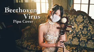 Beethoven Virus-Pipa Cover