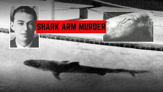 The Unusual Shark Arm Case