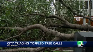 Sacramento still dealing with backlog of downed tree calls. Many more expected in coming days