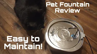 Pektaco Pet Fountain Review