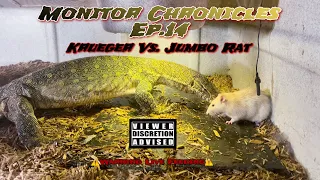 Monitor Chronicles EP.14 “Krueger Vs Jumbo Rat”🦖🐀|⚠️Warning Live Feeding⚠️