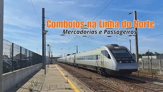 Comboios de passageiros e mercadorias na Linha do Norte!