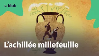 L'achillée millefeuille | Chroniques végétales