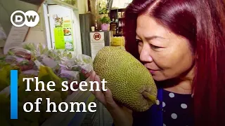 Little Hanoi in Berlin - A scent of home for Vietnamese expats | DW Documentary