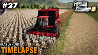 FS19 Timelapse Ravenport #27 Cotton Harvest