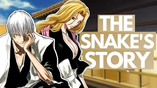 GIN & RANGIKU - Exploring the Tragedy of the Cat and the Snake | Bleach Discussion