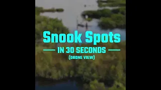 How To Find Snook In Less Than 30 Seconds [Snook Hotspots!!]