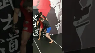 MMA Single Leg Takedown off the Cage Wall #shorts