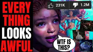 Fans Hate EVERYTHING About The Little Mermaid | Disney Actor Says It's RACIST If You Don't Like This