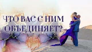 Что вас объединяет с партнером? Новый метод анализа синастрии / совместимости