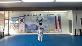Color Belt Poomsae, Individual, 2011, Elite Taekwondo Center, Wesley Aral