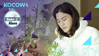 Kim Ji Hoon is repotting his plant [Home Alone Ep 387]