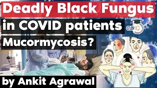 Deadly Black Fungal Infection detected in Covid patients - What is Mucormycosis?