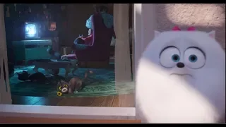 oh, dear, sweet Busy Bee-The  Secret life of pets 2 CLIP-2 Movies CLIP(2019)