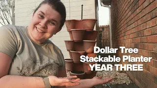 Dollar Tree Stackable Planter YEAR THREE UPDATE!