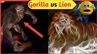 gorilla🦍 vs Lion 🐯 आखिर कौन जितेगा 🤔 #shorts  #viralvideo #rnfact