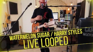 Carl Wockner - Watermelon Sugar (Harry Styles Live Looping Cover)
