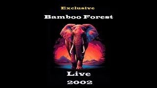 Bamboo Forest - Live Mix Set 2002 (Exclusive)