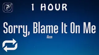 [1 HOUR 🕐 ] Akon - Sorry, Blame It On Me (Lyrics)