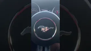 2020 Mustang GT Pov ASMR calm drive