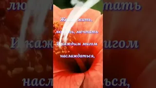 Поздравляю с 8 МАРТА 🌷Очень красивое поздравление с 8 МАРТА🌷