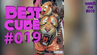 Watch me #19 | Best Cube  Coub | #19 November Лучшие Коубы Ноябрь 2019