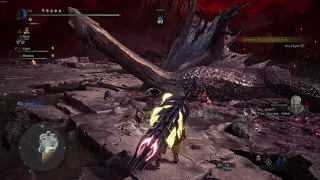 Proof of a Hero but the palico was the real hero