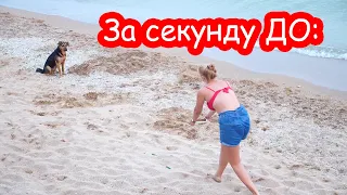 VLOG Собака напугала Настю