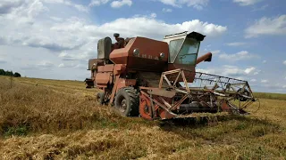 Комбайн Нива СК-5 січкарня, измельчитель. Початок жнив.