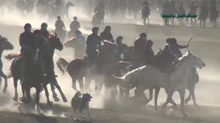 Ордабасы ауданы Нурсултан мырзанын елден бата алу кокпары 23 12 2021 Ордабасы көкпары