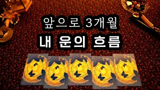 [타로] 앞으로 3개월, 내 운의 흐름