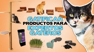 PRODUCTOS DE GATOS para EXPERTOS gateros 🏡✨😻| Gatifica tu casa nivel pro