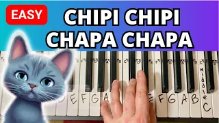 Chipi Chipi Chappa Chapa Meme 🐱 Easy Piano Tutorial 🐱 with Letter & Number Notes
