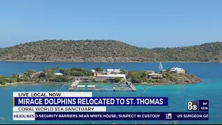 Final 3 Mirage Las Vegas dolphins relocated to sea sanctuary in U.S. Virgin Islands
