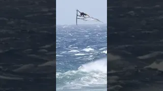 Der schwerste Windsurfing Trick jemals?! #shorts #windsurf #pushloop