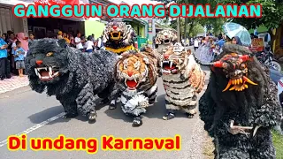 Can macanan singo Raung cilik di undang acara karnaval bersama manusia karet