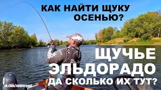 Щучье Эльдорадо! Как найти Щуку Осенью? Спиннинг на Реке. Джиг из под Бели.