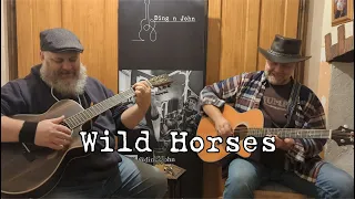 Rolling Stones - Wild Horses - Acoustic Cover