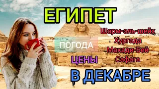 Египет в декабре: погода, цены, море, отдых в Шарм-эль-Шейхе, Хургаде, Макади-Бей, Сафаге зимой