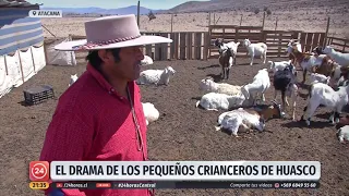 El drama de los pequeños crianceros de Huasco por la grave sequía | 24 Horas TVN Chile