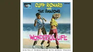 Wonderful Life (2005 Remaster)