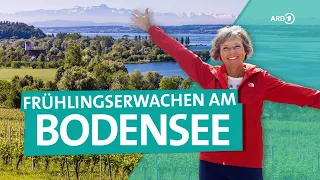 Frühling am Bodensee | ARD Reisen