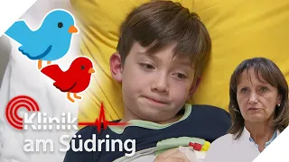 PAPAGEIENKRANKHEIT 🐦 7-jähriger Milo erkrankt 🤒 | Klinik am Südring | SAT.1