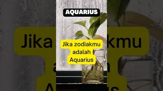 Ternyata zodiak AQUARIUS orangnya unik Eksentrik #Shorts #Zodiak #Aquarius