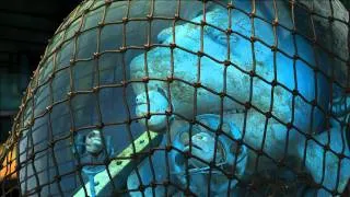 Fischen Impossible (Trailer Deutsch)