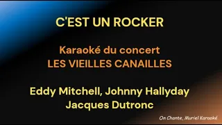 C'EST UN ROCKER KARAOKE Les Vieilles Canailles Eddy Mitchell Johnny Hallyday Jacques Dutronc