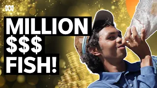 NT Teen Becomes An Instant Millionaire Thanks To A Fish