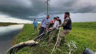 Catching A Monster Alligator